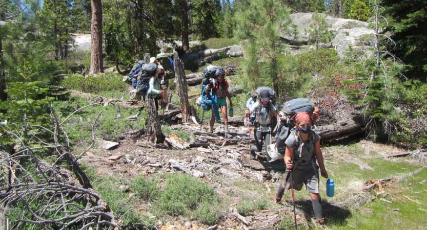 a group of students wearing backpacks make their way through a grassy and wooded area